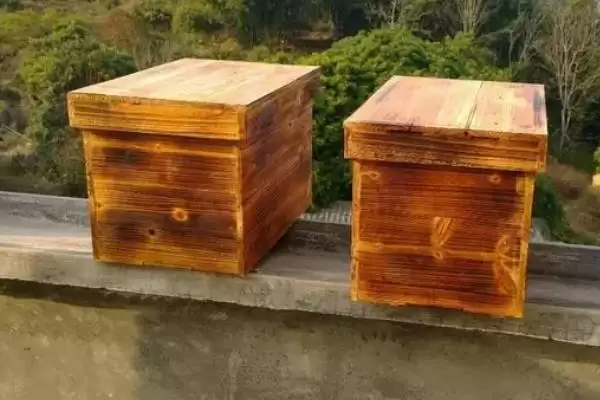 图片[2]-大蜂箱和小蜂箱哪种好，需根据蜂群的实际情况来选择-会东网