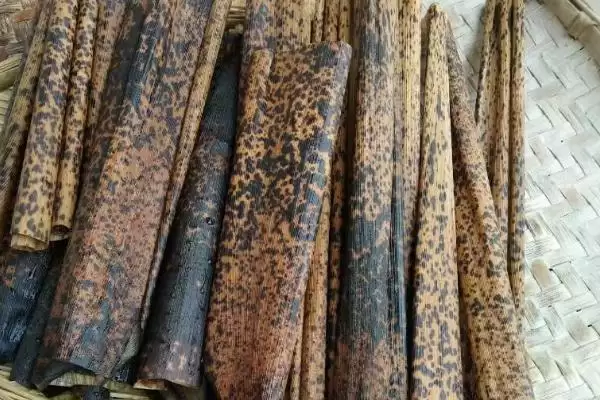 图片[3]-竹笋壳做肥料的可行性和要点？利用竹笋壳做肥料需注意什么？-会东网