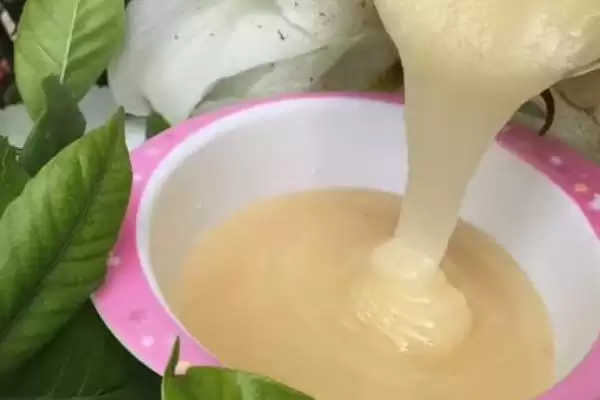 油菜花蜂蜜真假怎么鉴别,从外观、味道和结晶情况来辨别插图3 油菜花蜂蜜真假怎么鉴别,从外观、味道和结晶情况来辨别插图3