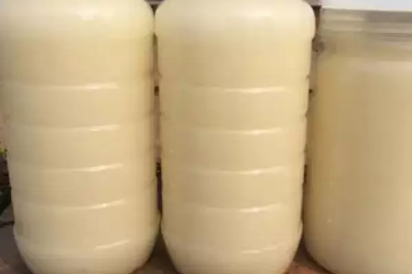 图片[3]-了解雪脂莲蜜味道的方法和重点？了解雪脂莲蜜味道要做好哪些细节？-会东网