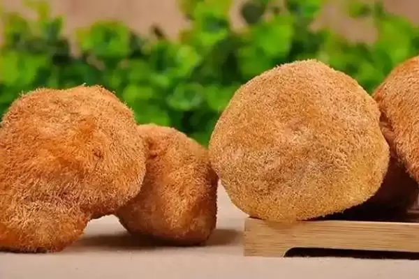 图片[9]-食用菌的种植前景？了解食用菌种植前景要分析哪些市场和产业因素？-会东网