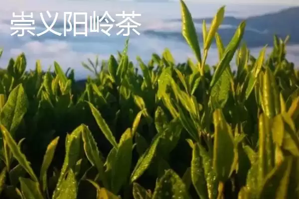 图片[12]-江西省瑞金市的特产 ,江西省瑞金市有啥特色美食-会东网