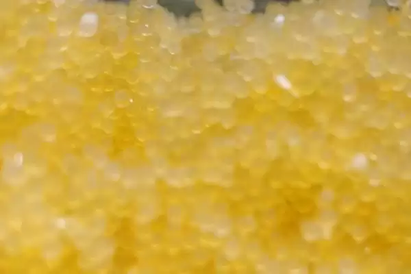 图片[4]-锦鲤产子前的症状 ,锦鲤产子前雄鱼有何症状呢-会东网