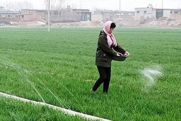图片[4]-微生物肥料和化肥的关系？了解微生物肥料和化肥关系要知晓哪些作用互补与差异要点？-会东网