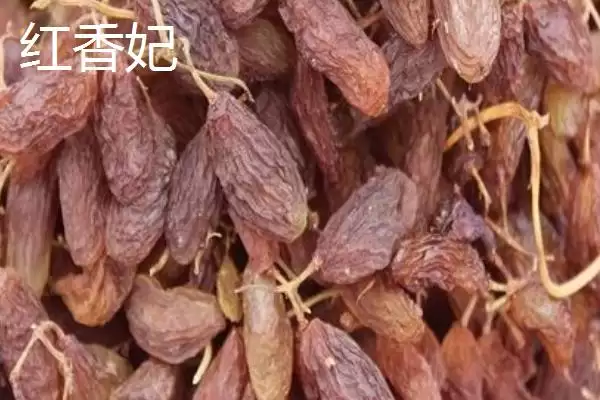 葡萄干产地大比拼：哪里产的更好吃？插图5