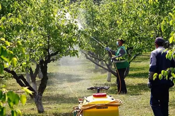 苹果树农药全年配方表，不同季节的使用不同的农药插图2
