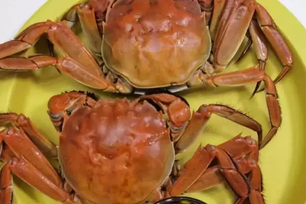 螃蟹的最佳吃法：蒸着吃为何是最佳选择？插图1