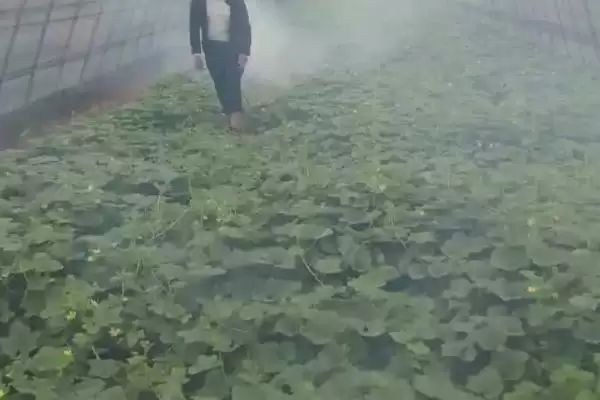 图片[5]-掌握植物防冻剂使用方法的方法和重点？掌握植物防冻剂使用方法要做好哪些细节？-会东网