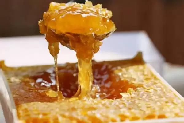 图片[3]-蜂巢蜜的食用方法，直接放在嘴中咀嚼即可-会东网