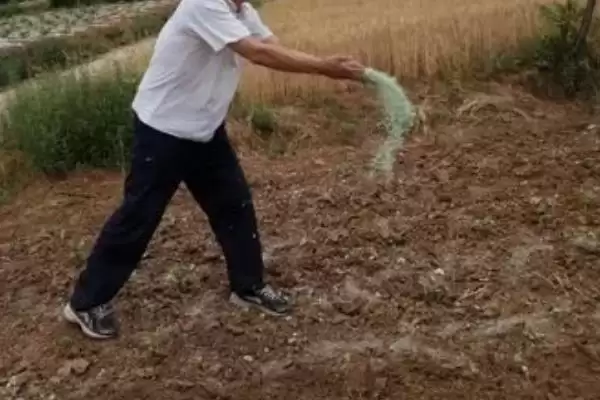 图片[2]-使用尿素的误区？了解使用尿素误区要知晓哪些常见的错误使用方式？-会东网