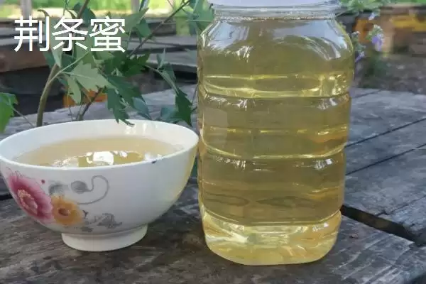 图片[4]-荆条蜜和槐花蜜的比较 ,荆条蜜和槐花蜜哪个更好呢-会东网