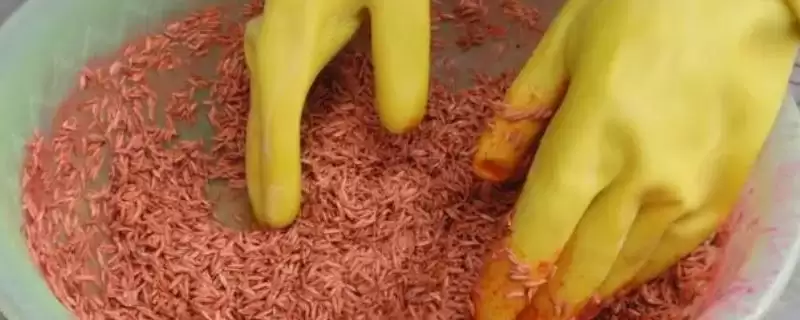 认识种衣剂作用的方法和重点？认识种衣剂作用要做好哪些细节？-会东网