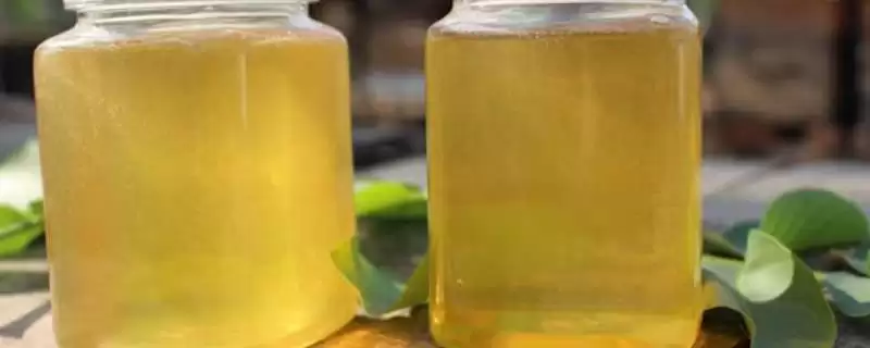 桐花蜜简介,蜜源包括玄参科泡桐、大戟科油桐等-会东网