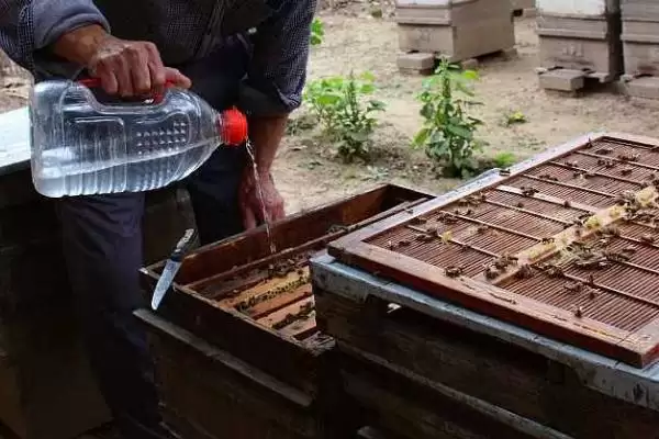 图片[8]-一箱意蜂一年可以分出几箱，正常情况下只分蜂一次-会东网