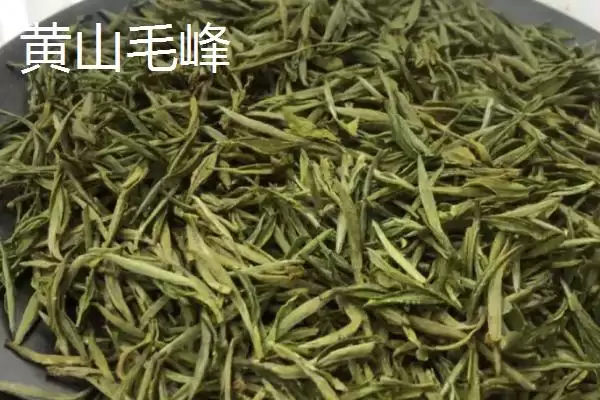 图片[5]-认识中国十种名茶的方法和重点？认识中国十种名茶要做好哪些细节？-会东网