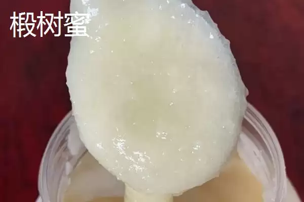 图片[2]-椴树蜜和土蜂蜜哪个好，前者在色泽上略胜一筹-会东网