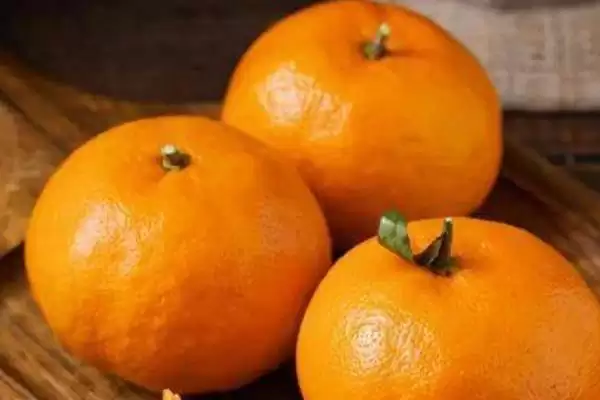 明日见和有何品种特性呢 ,明日见品种的甜度特别高是其特点插图1 明日见和有何品种特性呢 ,明日见品种的甜度特别高是其特点插图1