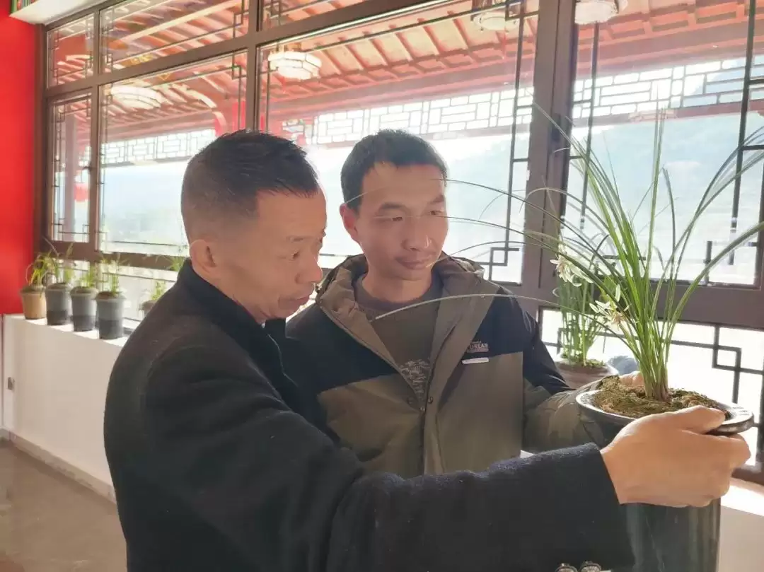 会东首届兰花交流会：兰韵雅集，共话文化新篇插图3