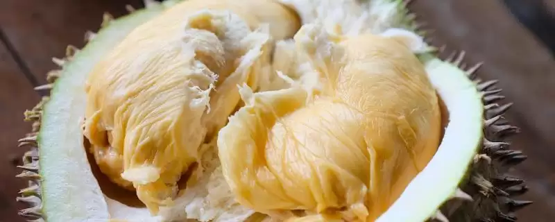 猫山王榴莲贵的原因是什么 ,猫山王榴莲因产量低口感好而贵-会东网