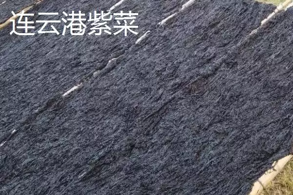 江苏连云港的特产 ,江苏连云港的特产有哪些插图1 江苏连云港的特产 ,江苏连云港的特产有哪些插图1