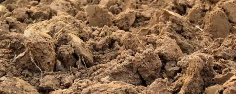 烧碱可以改良酸性土壤吗？探究烧碱改良酸性土壤可行性要注意什么？-会东网