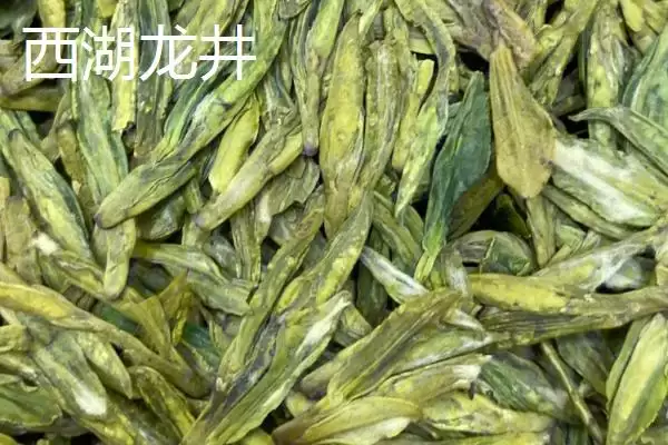 图片[3]-认识中国十种名茶的方法和重点？认识中国十种名茶要做好哪些细节？-会东网