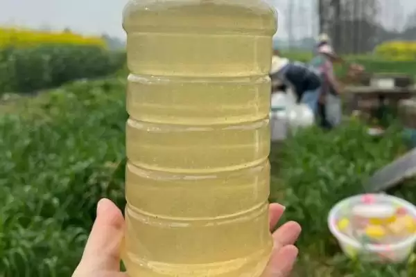 油菜花蜂蜜怎么鉴别真假，从色泽、香味、口感和结晶状态综合分辨插图1