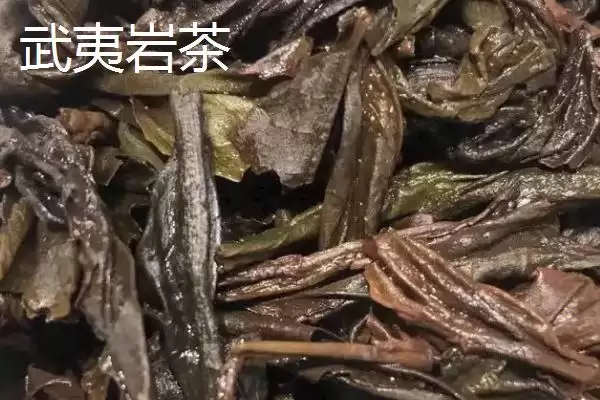 图片[6]-认识中国十种名茶的方法和重点？认识中国十种名茶要做好哪些细节？-会东网