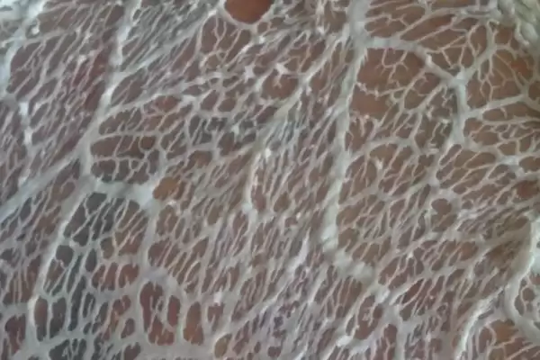 区分猪网油和板油的方法和重点？养猪与猪肉加工原料有哪些关联细节？插图1