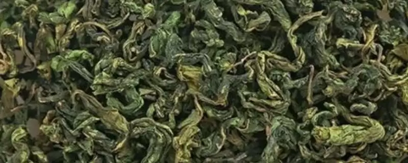 什么是刺五加茶？认识刺五加茶要了解哪些关键的茶叶特性和功效？-会东网