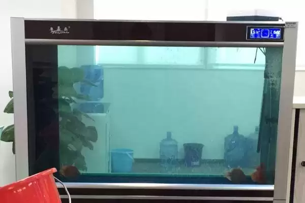 图片[4]-普通小鱼缸换水技巧：用管子抽水兑新水的正确方法-会东网