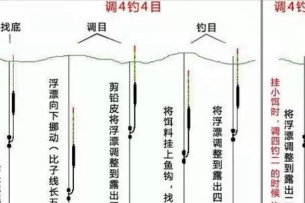 图片[3]-罗非鱼喜欢什么味型的饵料 ,罗非鱼偏好哪种饵料味型-会东网