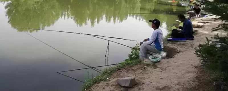 六月钓鱼的水深选择 ,六月钓鱼大多情况为何钓深？-会东网