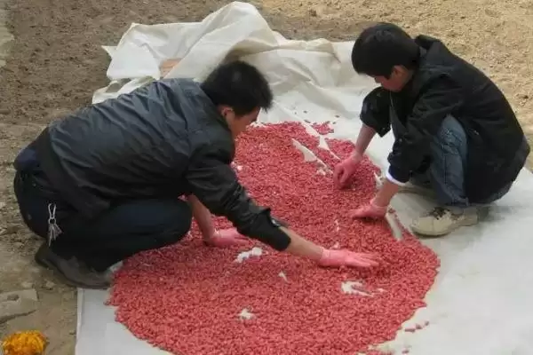 图片[2]-认识种衣剂作用的方法和重点？认识种衣剂作用要做好哪些细节？-会东网