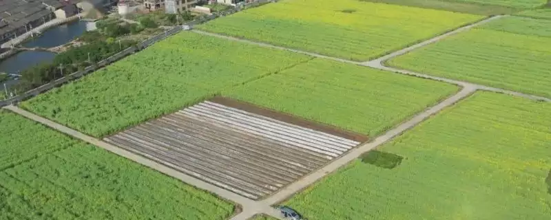 了解一亩地等于多少平方米的方法和重点？了解一亩地等于多少平方米要做好哪些细节？-会东网