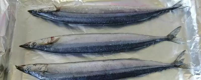 秋刀鱼的营养价值与食用建议:好吃但不可多吃的原因-会东网