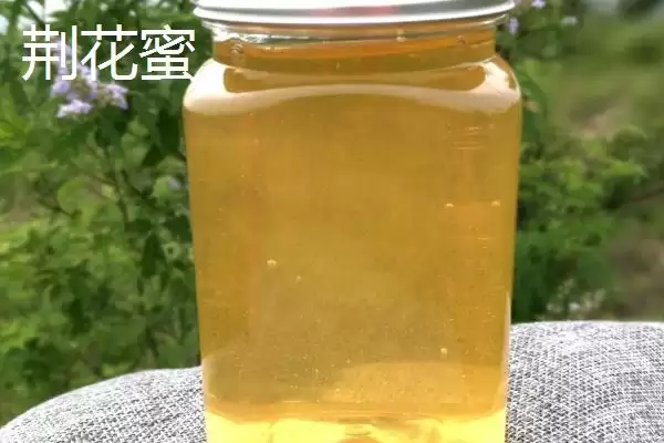 洋槐蜜30块一斤是不是正品,正宗的洋槐蜜一般不便宜插图4 洋槐蜜30块一斤是不是正品,正宗的洋槐蜜一般不便宜插图4