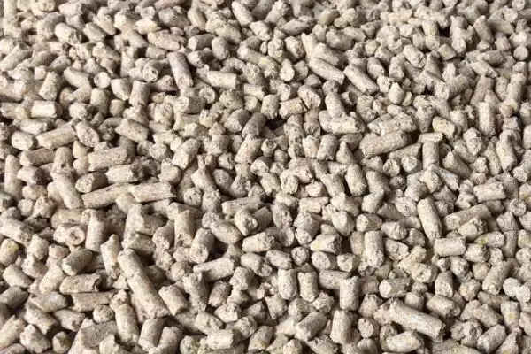 判断猪颗粒饲料能否加水拌湿的方法和重点？养猪要做好哪些饲料处理细节？插图1