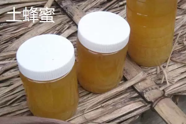 图片[3]-椴树蜜和土蜂蜜哪个好，前者在色泽上略胜一筹-会东网