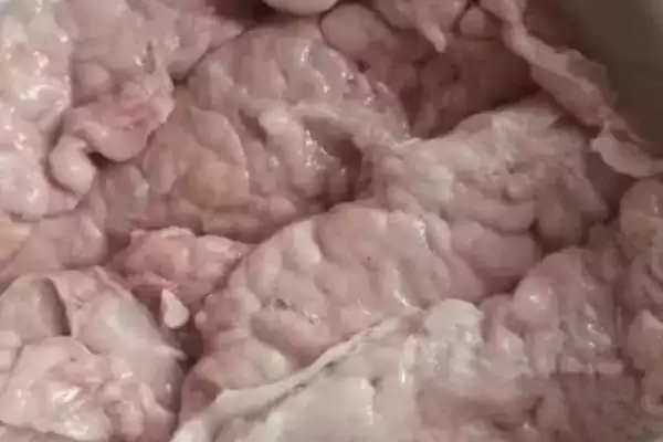 了解猪身上毛连的方法和重点？养猪要做好哪些猪体特征认知细节？插图1