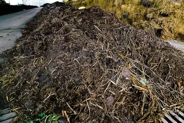 图片[3]-酵素堆肥的制作方法 ,制作酵素堆肥有哪些具体方法-会东网