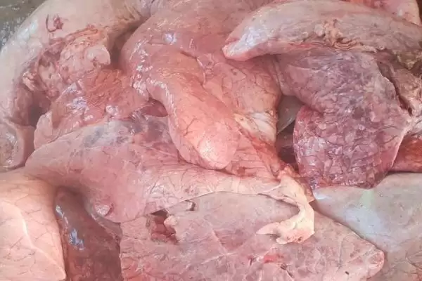 牛肺价格的波动密码:地区、季节等因素的影响插图1 牛肺价格的波动密码:地区、季节等因素的影响插图1