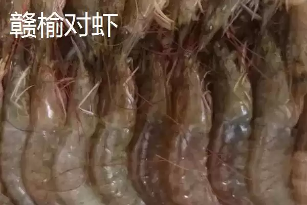 江苏连云港的特产 ,江苏连云港的特产有哪些插图8 江苏连云港的特产 ,江苏连云港的特产有哪些插图8