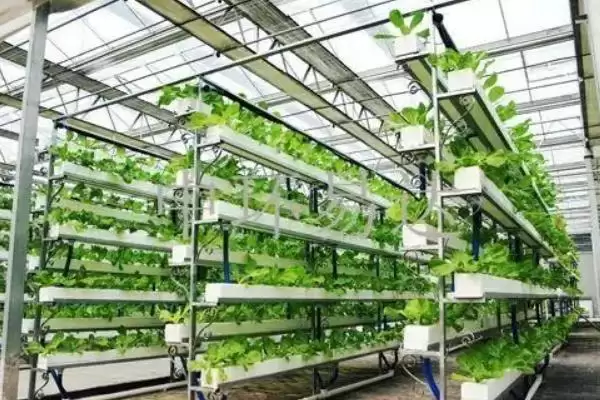 防治病虫害的适宜适期，害虫幼龄期、危险生育期、天敌敏感期适合用药插图8