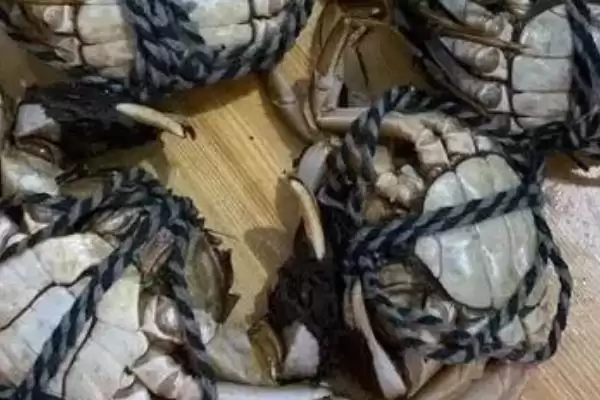 螃蟹死亡24小时内能否食用：取决于环境温度的关键因素插图3