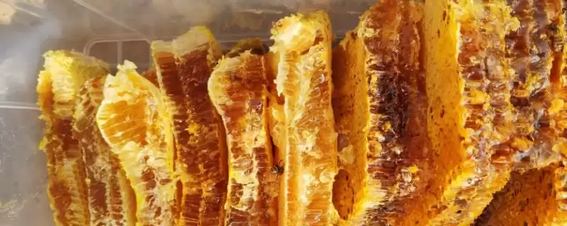 蜂蜜有几种颜色,主要有白色、水白色、琥珀色等7种颜色-会东网