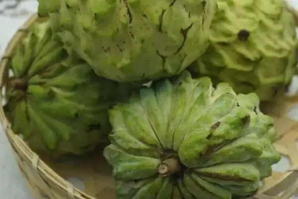 图片[3]-释迦果的吃法，可以榨汁也可以直接食用-会东网