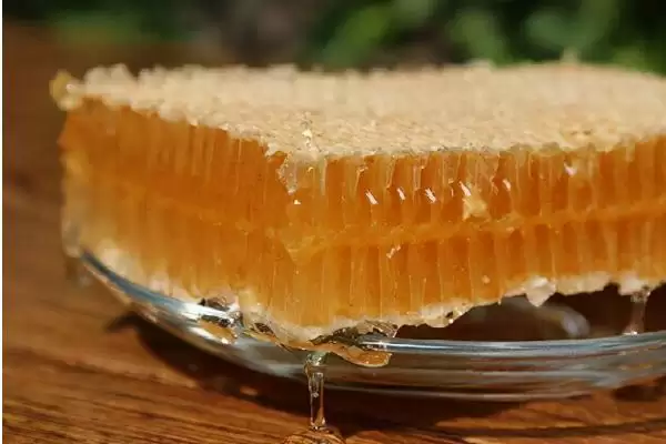 图片[2]-蜂巢蜜的食用方法，直接放在嘴中咀嚼即可-会东网