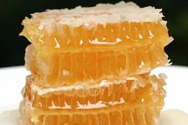 图片[4]-蜂巢蜜的食用方法，直接放在嘴中咀嚼即可-会东网