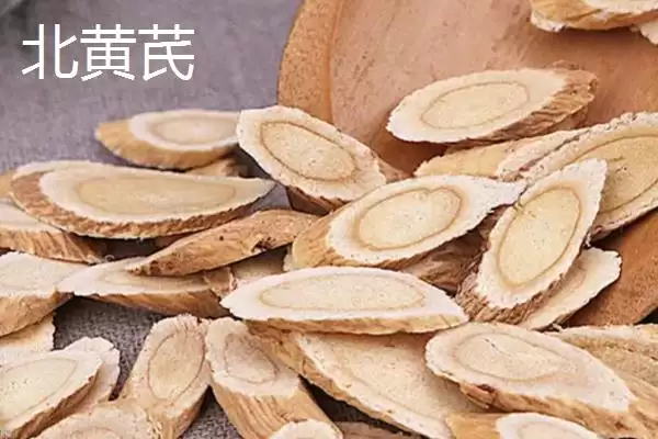 图片[3]-北芪与黄芪有什么区别，在药效上考虑不会有太大区别-会东网